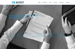 CS audit